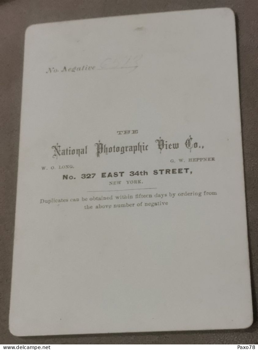 Photo Original, The Photographie View, New-York . 16x10 - Alte (vor 1900)