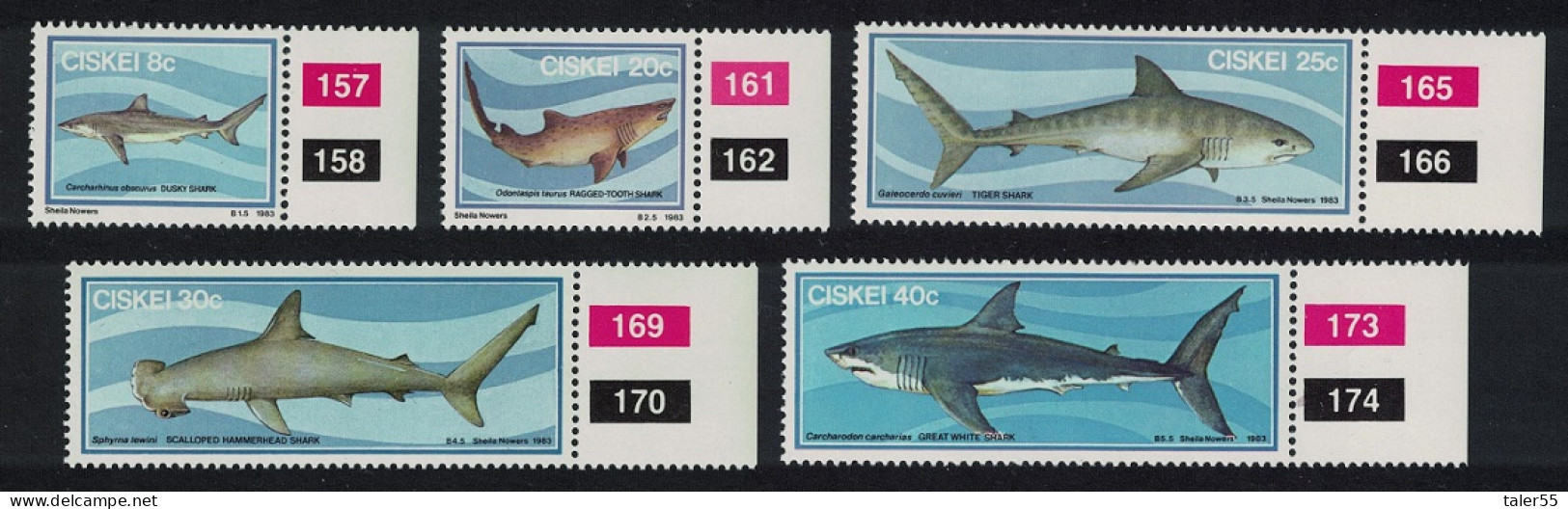 Ciskei Sharks Fish 5v Margins Control Number 1983 MNH SG#38-42 - Ciskei
