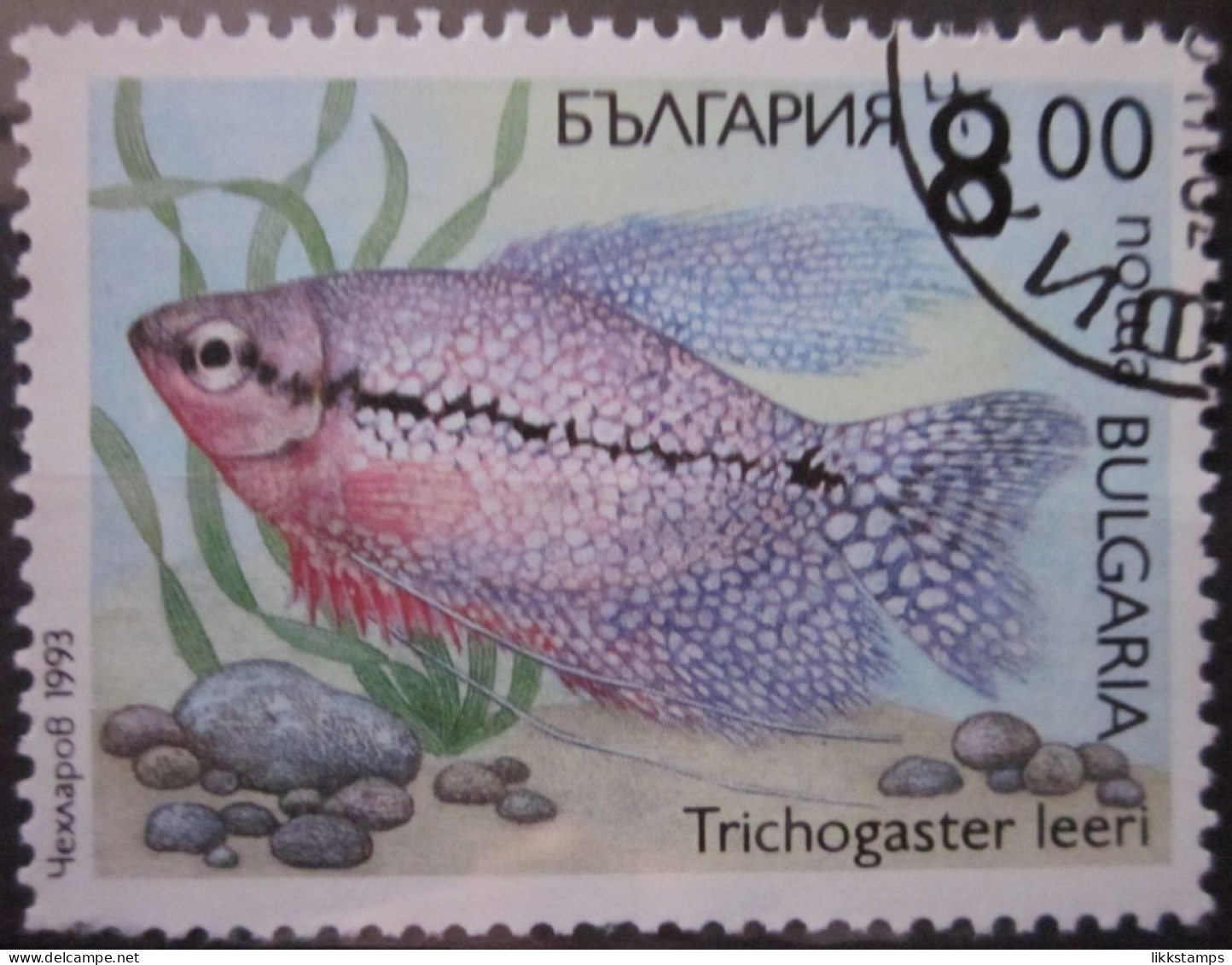 BULGARIA 1993 ~ S.G. 3914, ~ FISH. ~  VFU #02923 - Gebruikt