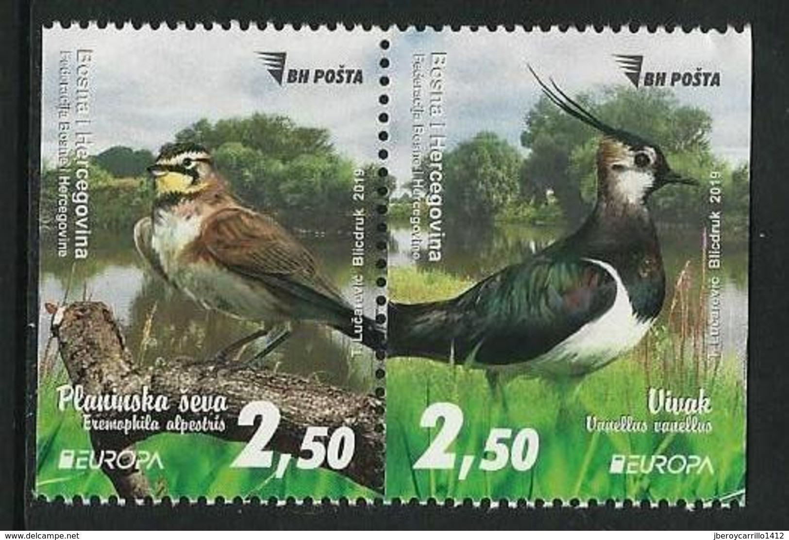 BOSNIA HERZEGOVINA / BOSNIA SARAJEVO  -EUROPA 2019 -NATIONAL BIRDS.-"AVES -BIRDS -VÖGEL-OISEAUX"- SERIE N -CARNET - 2019