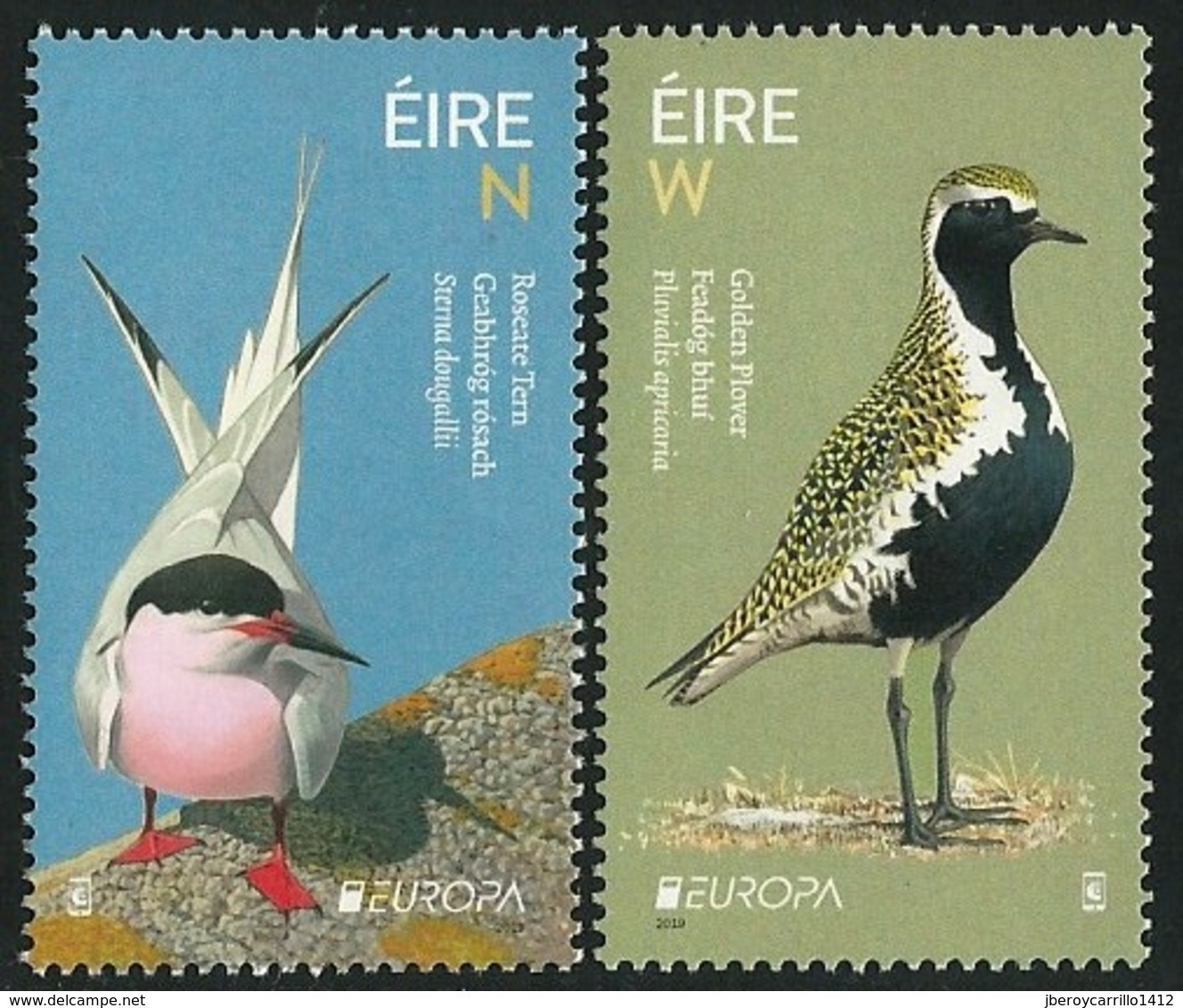 IRLANDA /IRELAND / IRLAND / ÉIRE / EUROPA 2019 -NATIONAL BIRDS.-"AVES - BIRDS - VÖGEL -OISEAUX"- SERIE De 2 V. N - 2019