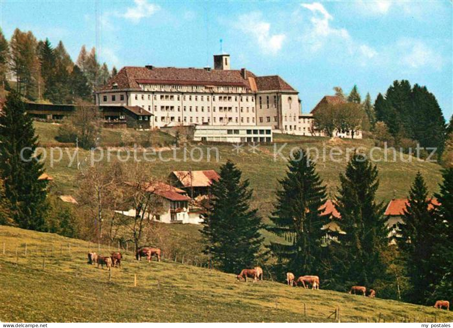 72619580 Ried Lindenberg Allgaeu Kursanatorium Viehweide Kuehe Ried Lindenberg A - Lindenberg I. Allg.