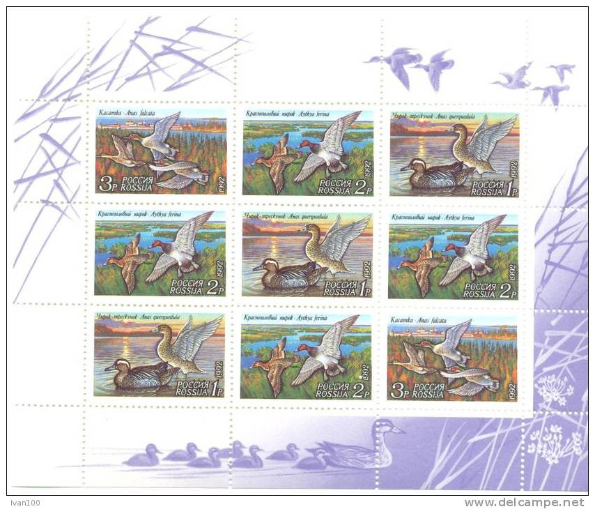 1992. Russia, Ducks, Sheetlet, Mint/** - Unused Stamps
