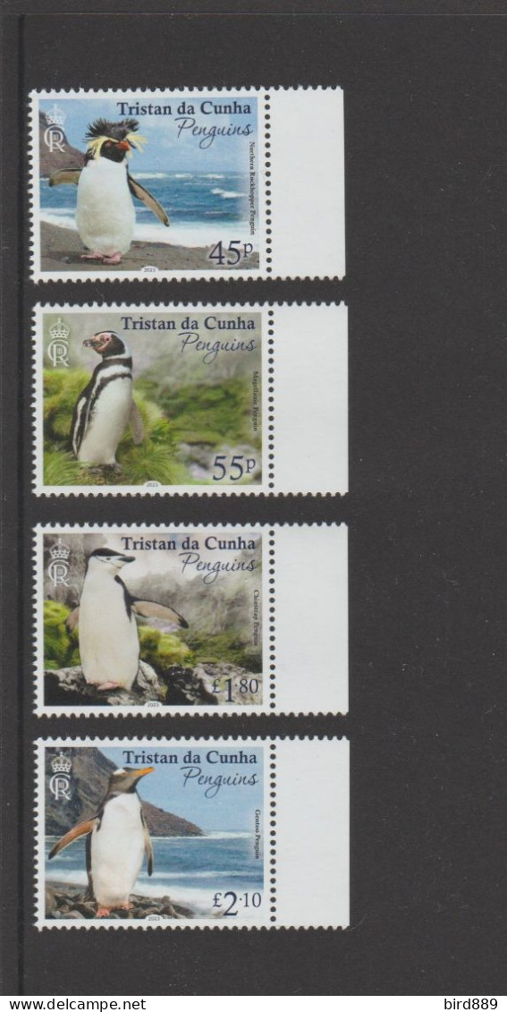 2023 Tristan Da Cunha Bird Penguin Full Set Of 4 Right Border MNH - Tristan Da Cunha