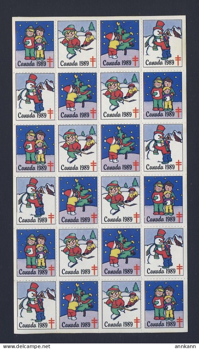 1989 CANADA - TB LUNG ASSOCIATION - CHRISTMAS SEAL MINI SHEET - 24x STAMPS - SHINY GUM MNH - Histoire Postale