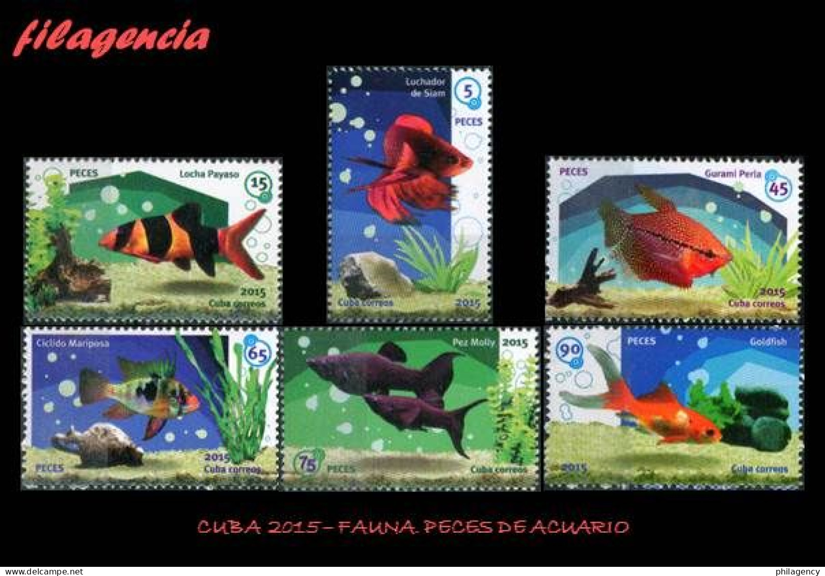 CUBA MINT. 2015-02 FAUNA. PECES DE ACUARIO - Neufs