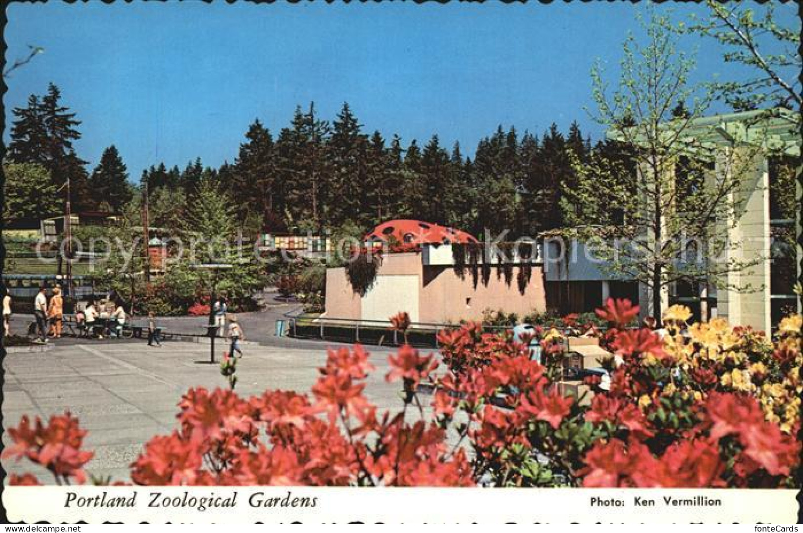 72562694 Portland_Oregon Zoological Society  - Andere & Zonder Classificatie