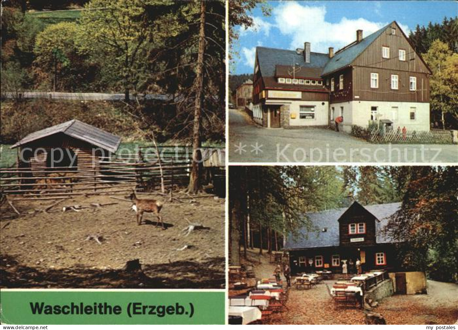 72599587 Waschleithe Tierpark Restaurants Osterlamm Und Koehlerhuette Waschleith - Gruenhain