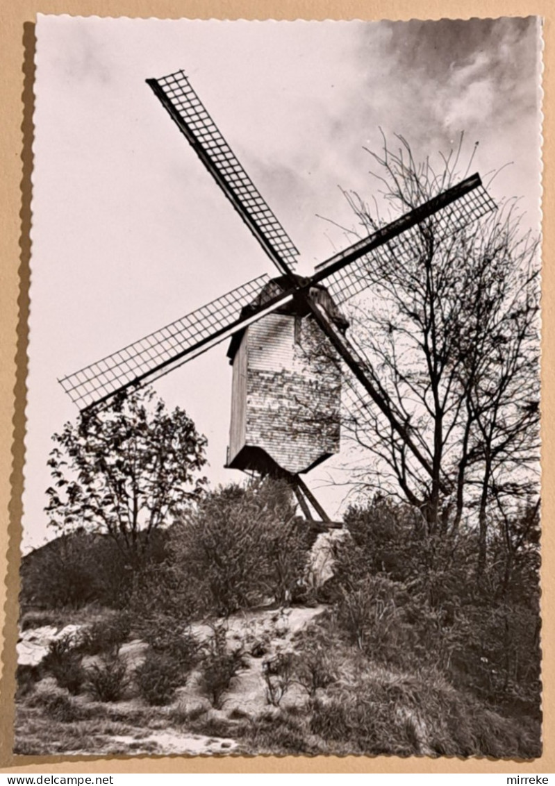 @Le3@  -  DIEST  -  Oude Molen  -  Zie / Voir / See Scan's - Diest