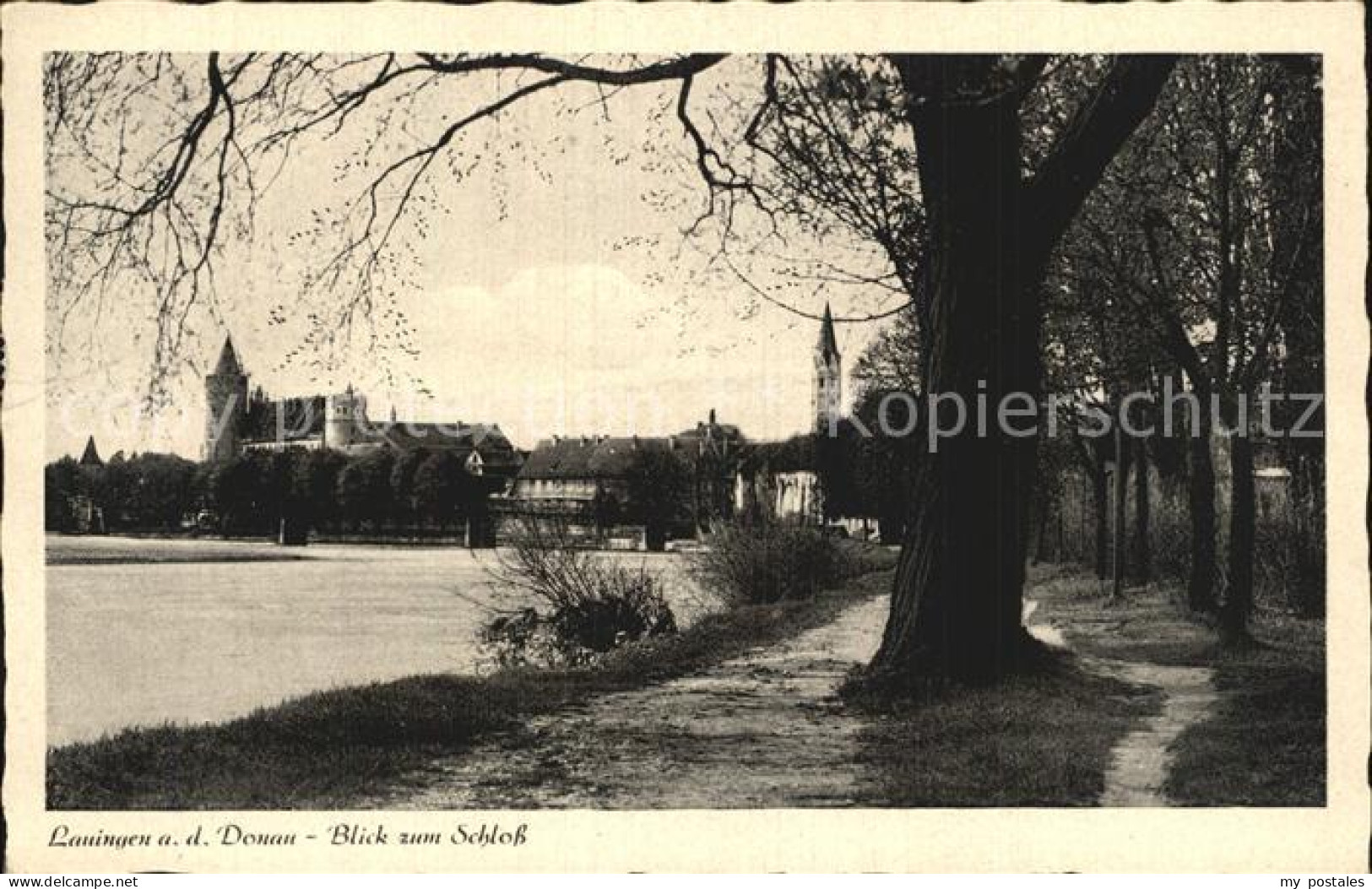 72595678 Lauingen Donau Uferpromenade Blick Zum Schloss Lauingen (Donau) - Lauingen