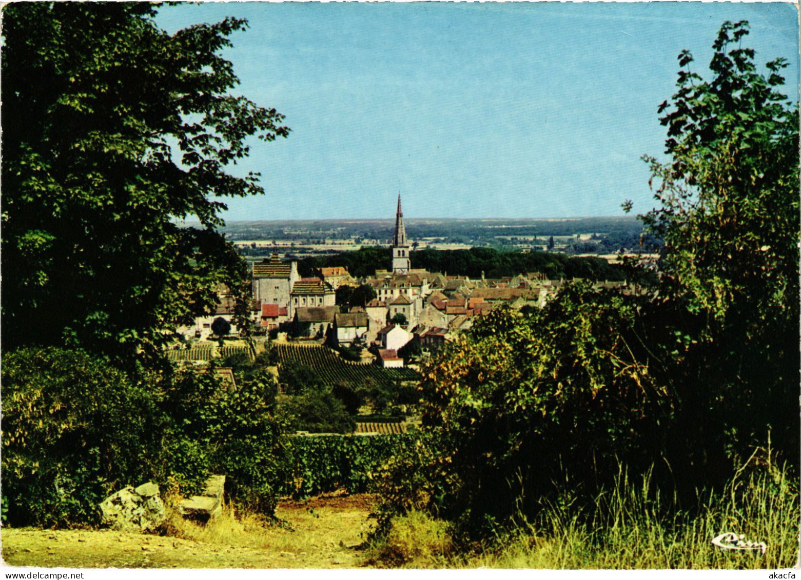 CPM Meursault Echappee Vers Le Clocher FRANCE (1376168) - Meursault