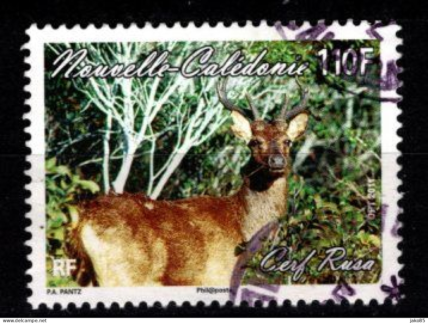 - Nelle CALEDONIE - 2011 - YT N° 1132 - Oblitérés - Cerf Rusa - Oblitérés