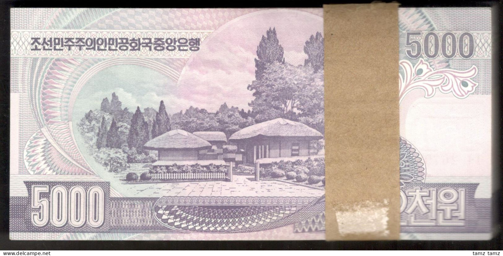 Lot 100 Pcs 1 Bundle Korea 5000 5,000 Won P-46 2006 AUNC To UNC Read Desc. - Corée Du Nord