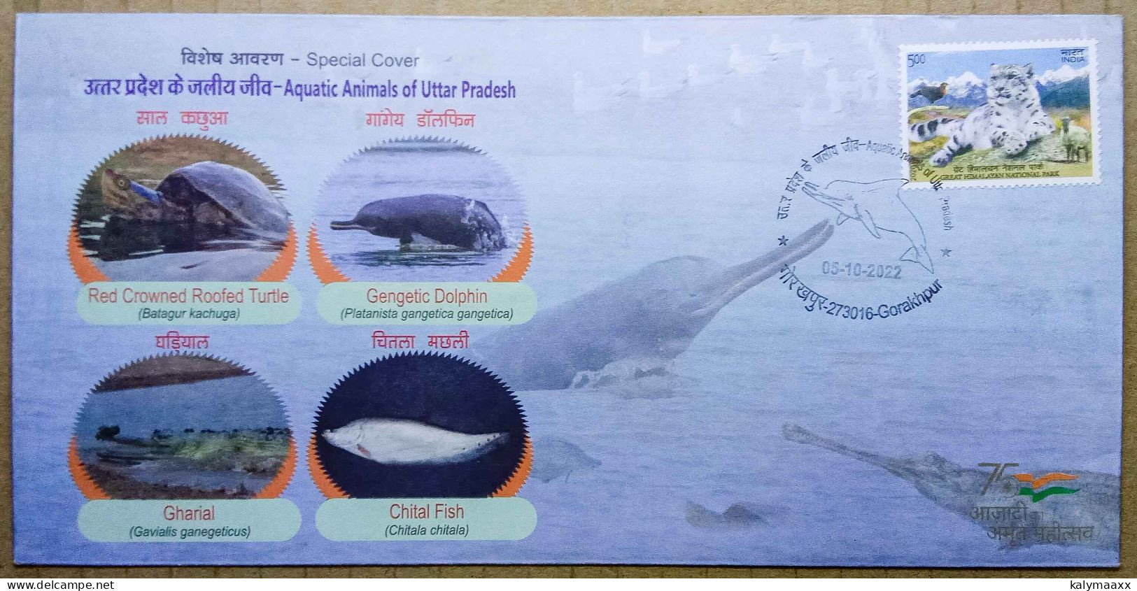 INDIA 2022 AQUATIC ANIMALS OF UTTAR PRADESH, TURTLE, DOLPHIN, GHARIAL, FISH, SPECIAL COVER, GORAKHPUR CANCELLATION - Dolphins