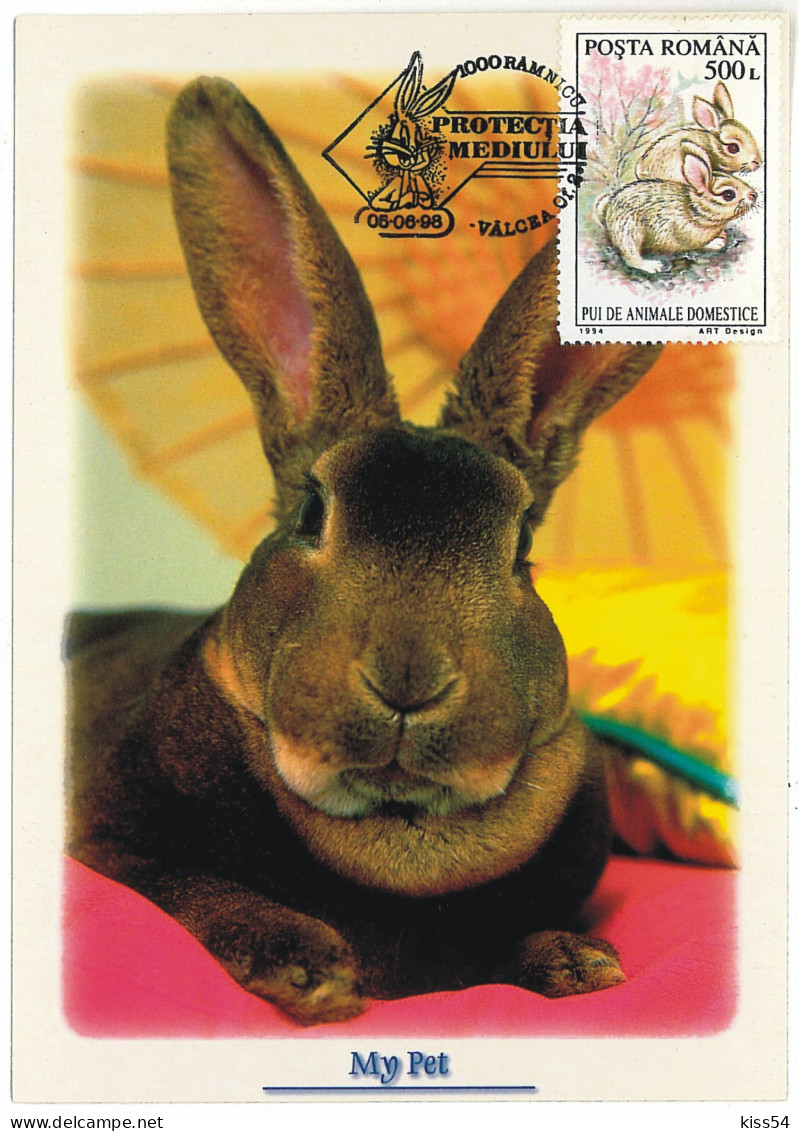 MAX 18 - 443 RABBIT, Romania - Maximum Card - 1998 - Rabbits