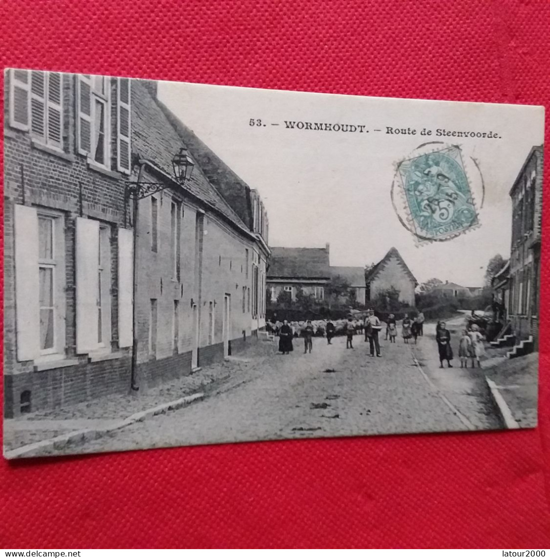 WORMHOUDT WORMHOUT ROUTE DE STEENVOORDE Berger Moutons - Wormhout