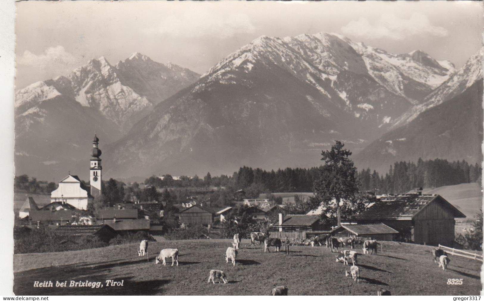 E4542) REITH Bei BRIXLEGG - Tirol - Wiese Mit Kühen U. Kirche Dahinter ALT ! - Brixlegg