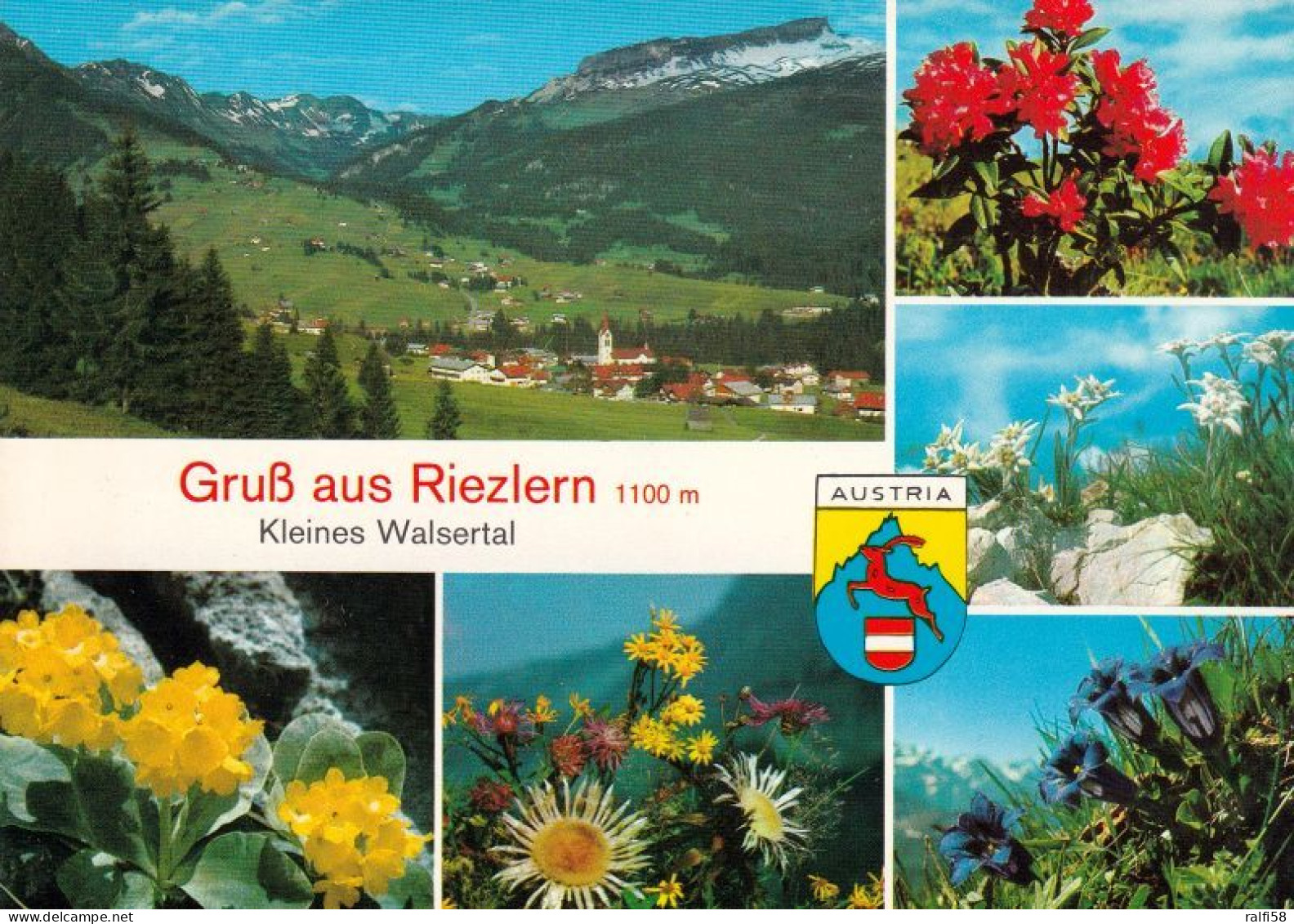 5 AK Österreich / Kleinwalsertal / Vorarlberg * Ansichten Von Riezlern Im Kleinwalsertal - Siehe 5 Scan * - Kleinwalsertal