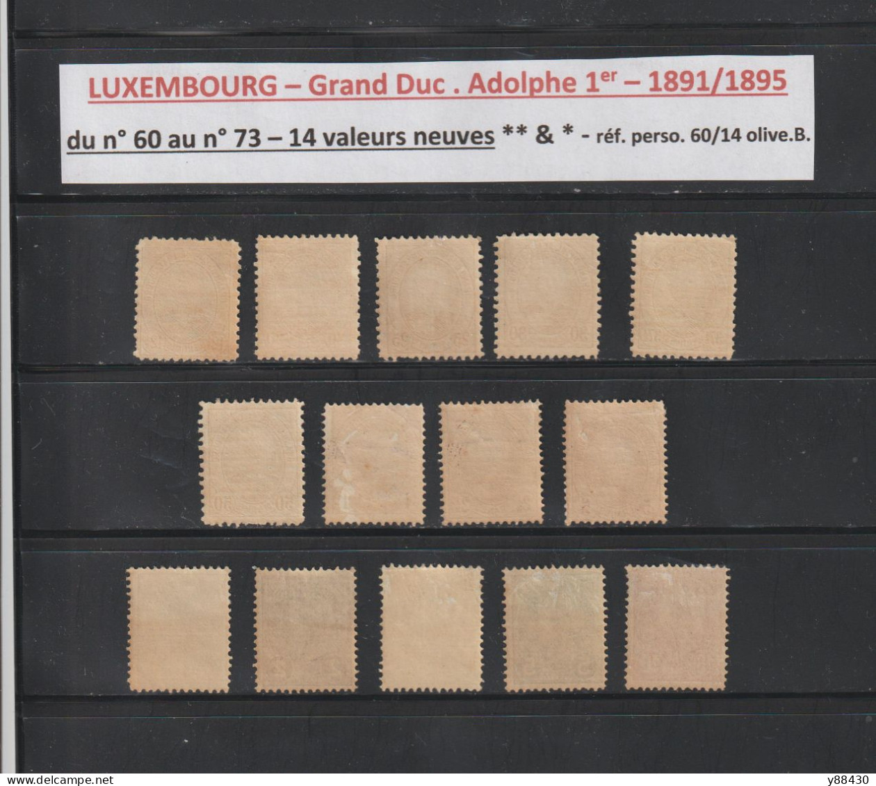 LUXEMBOURG - 60 à 73 De 1891/1895 - Neuf ** & *  -  14 Valeurs - Grand Duc Adolphe 1er - Face Et Profil - 2 Scan - 1891 Adolphe Frontansicht