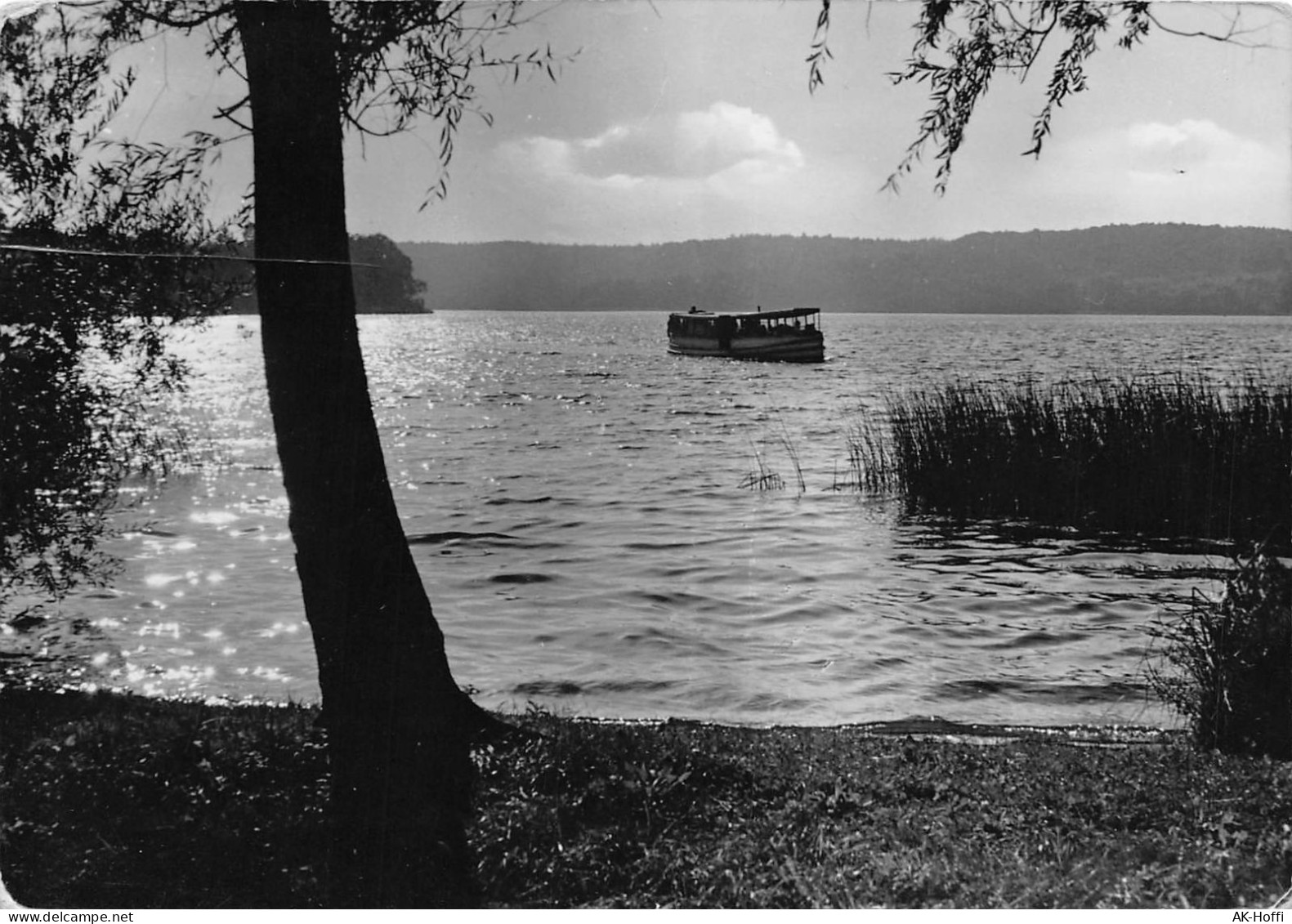 Buckow - Mark. Schweiz - Motorbootsfahrt Auf Dem Schermützelsener (803) - Buckow