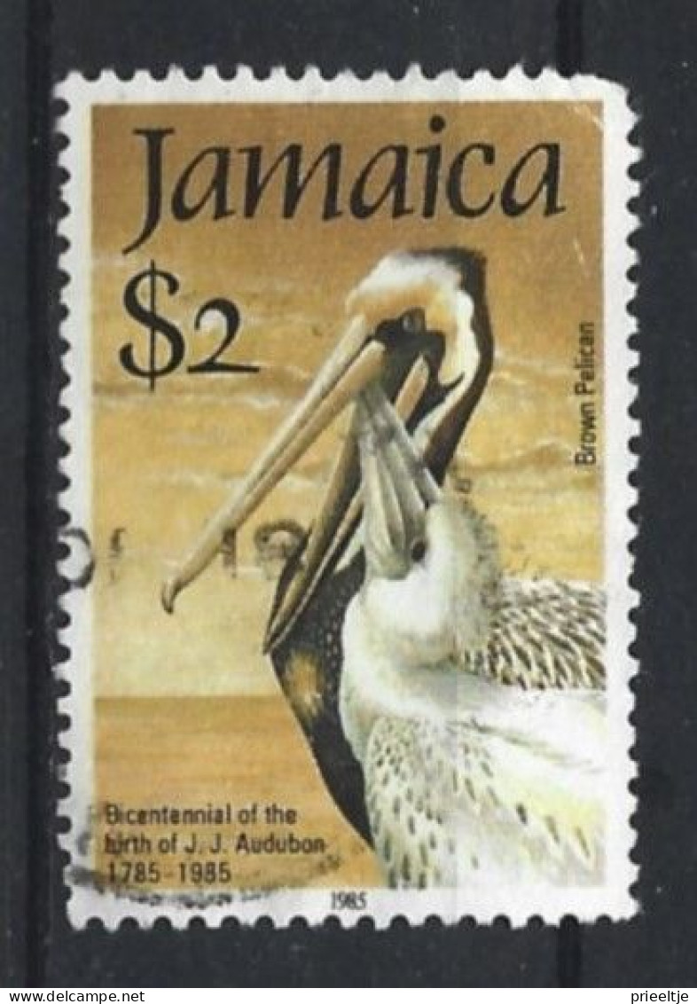 Jamaica 1985 Bird Y.T. 618 (0) - Jamaica (1962-...)