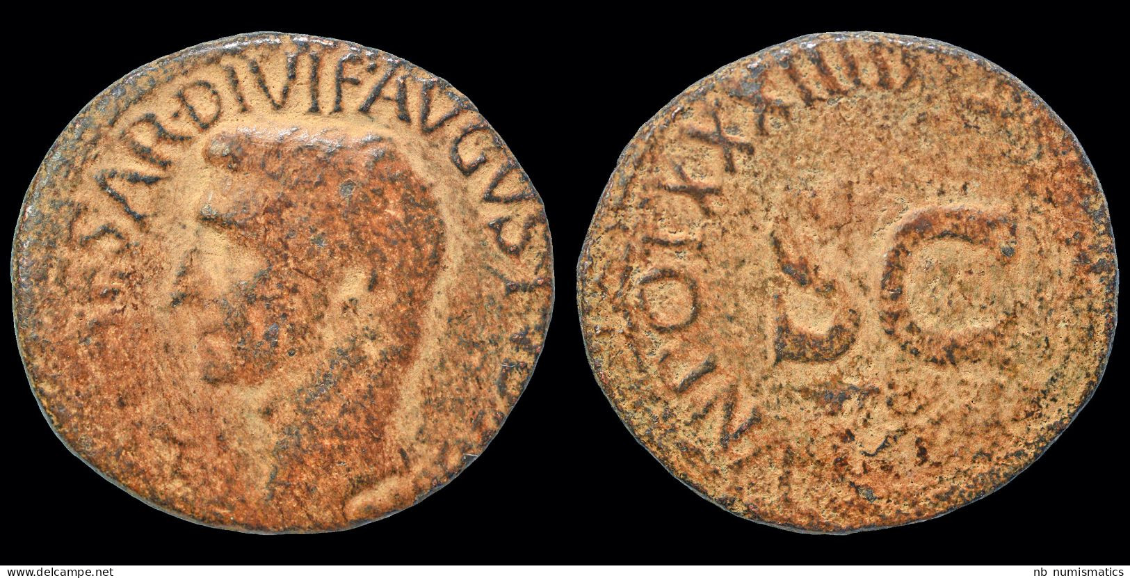 Augustus AE As Large S C - The Julio-Claudians (27 BC Tot 69 AD)