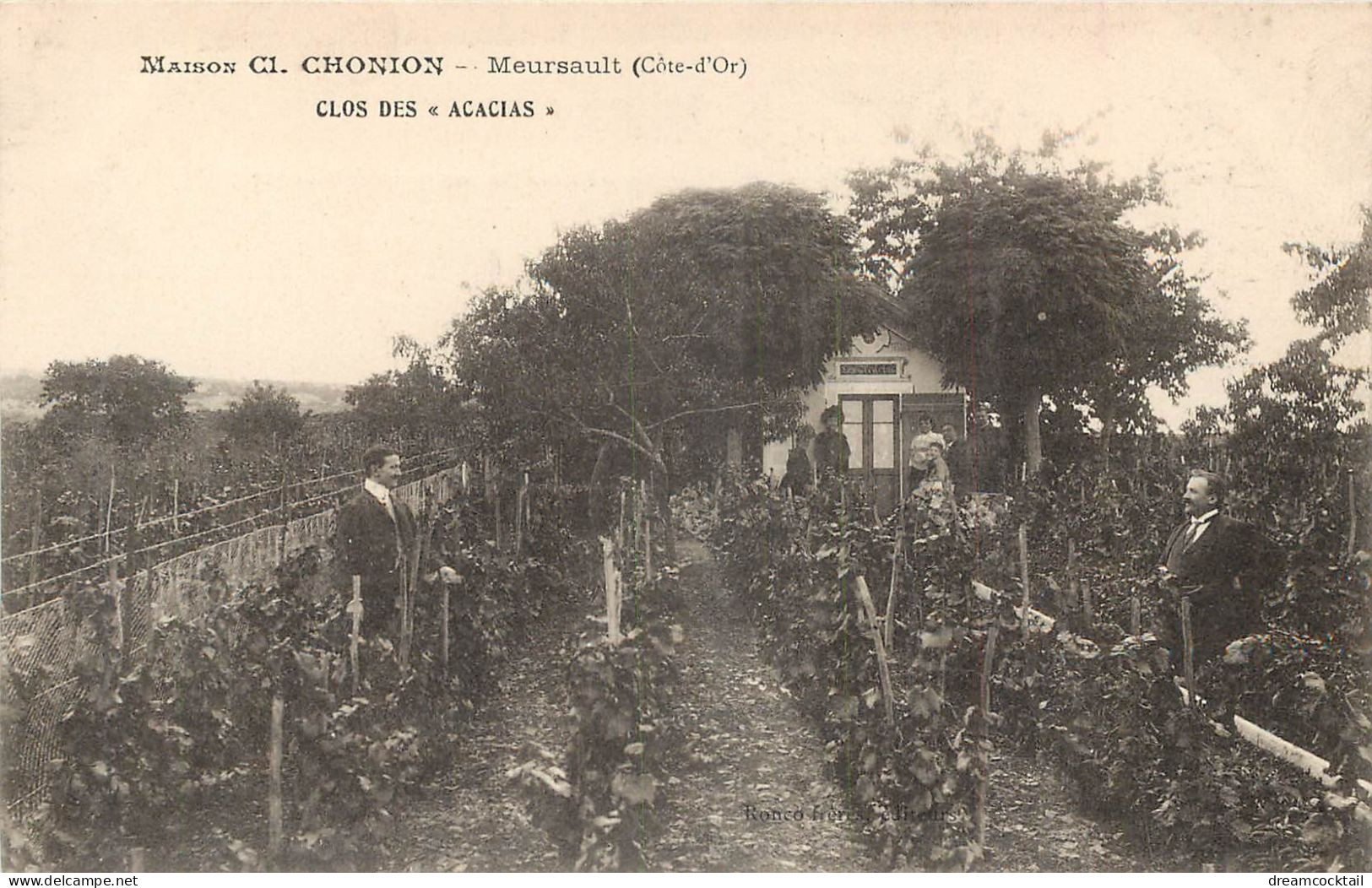 21 MEURSAULT. Maison Chonion Le Chalet Au Clos Des Acacias Dans La Vigne. Vins  Vignes, Grands Crus Vignobles 1909 - Meursault