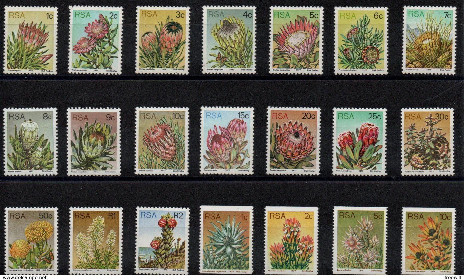 South Africa Fleurs-Flowers-Bloemen XXX 1977 - Unused Stamps