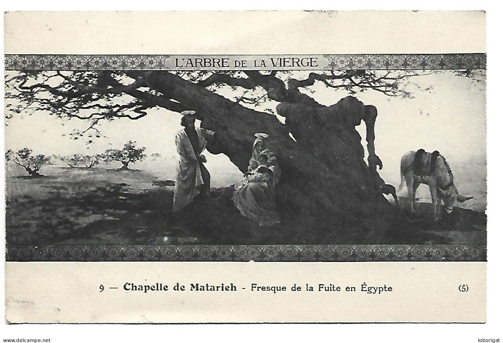 L'ARBRE DE LA VIERGE.- CHAPELLE DE MATARIEH - FRESQUE DE LA FUITE EN EGYPTE.- ( EGIPTO ) - Matariyya