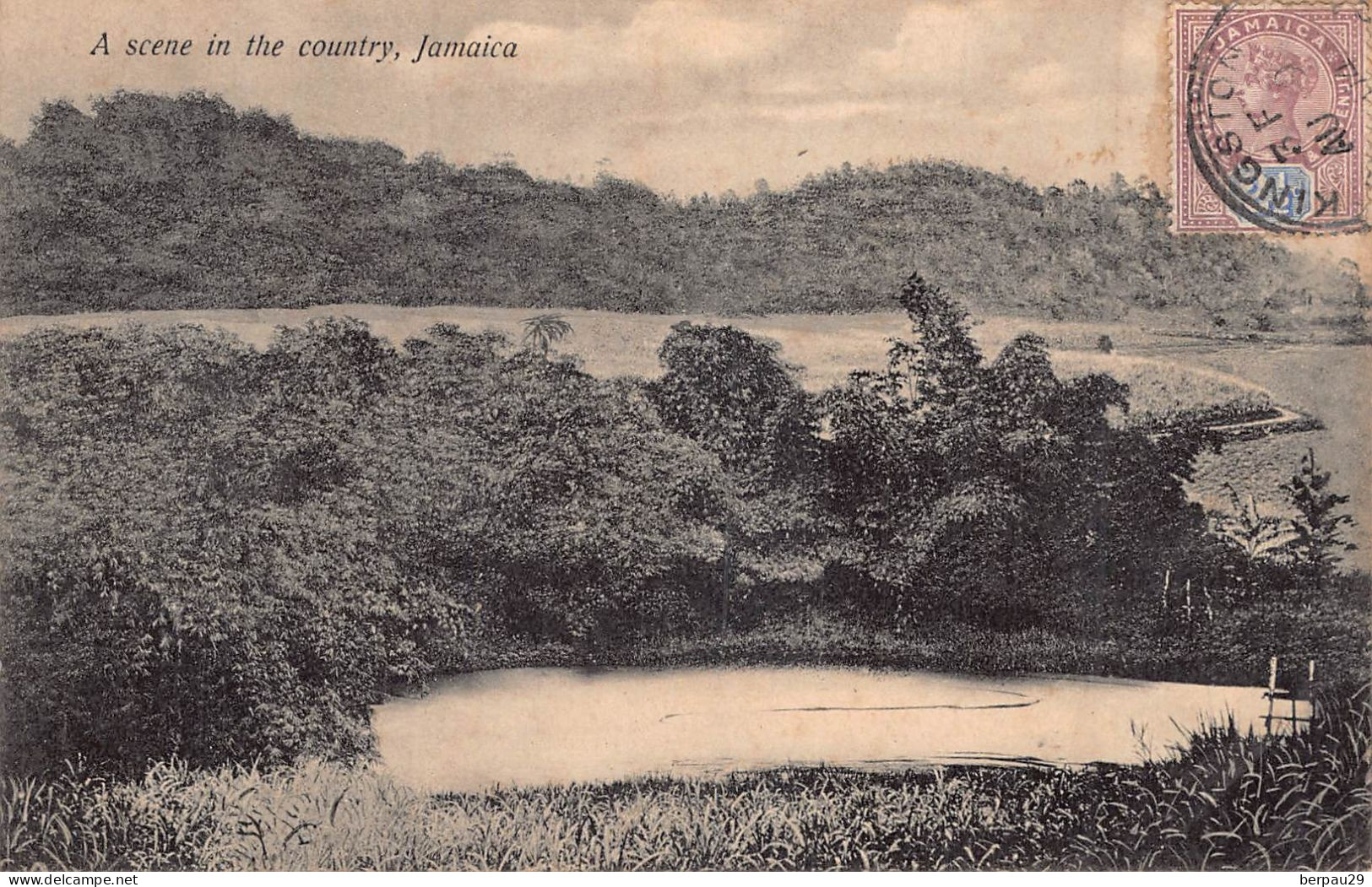 JAMAIQUE - JAMAICA - A Scene In The Country ( Stamp  1906 ) - Jamaïque