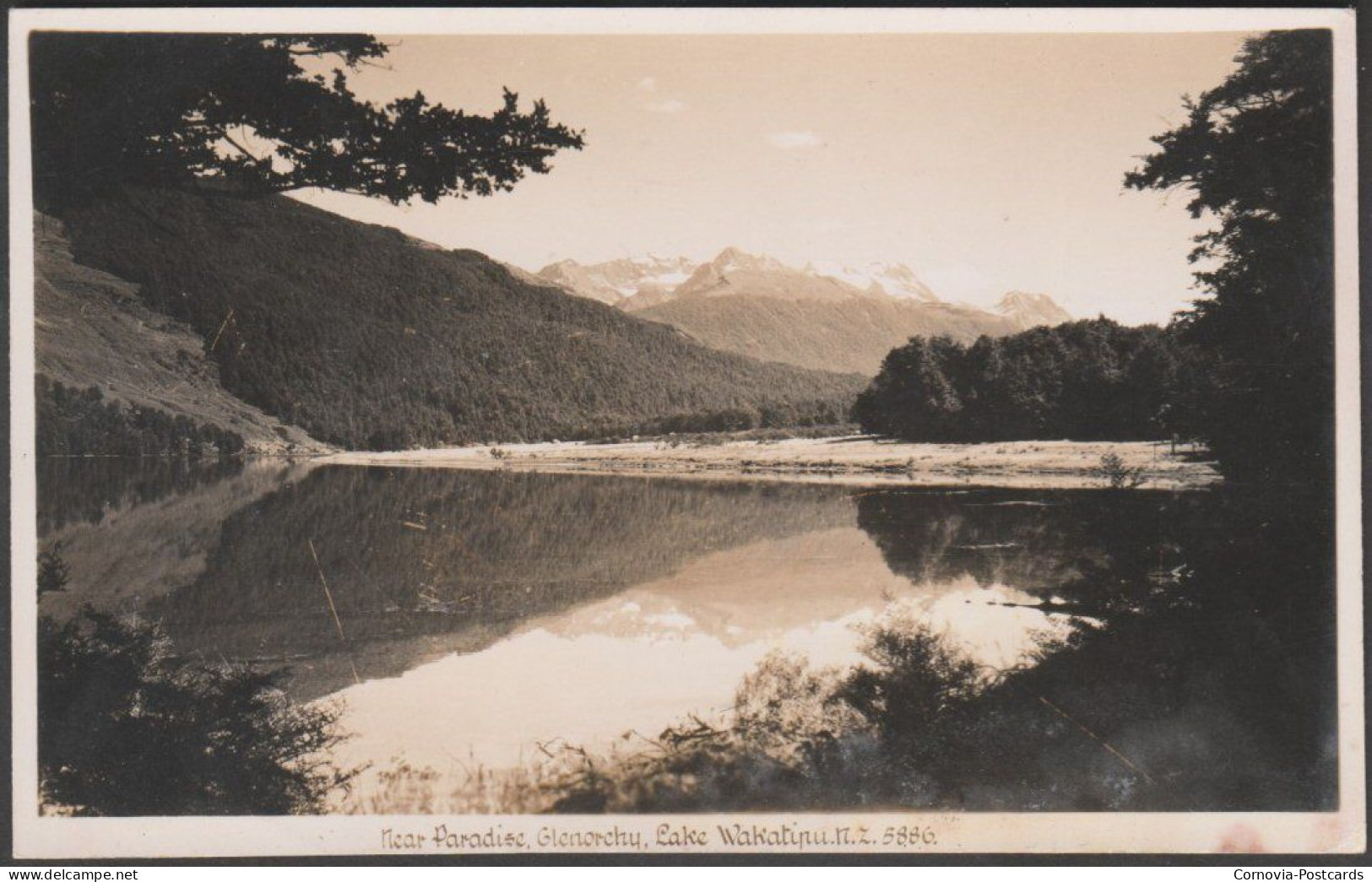 Near Paradise, Glenorchy, Lake Wakatipu, New Zealand, C.1950s - Tanner Bros RP Postcard - Nouvelle-Zélande