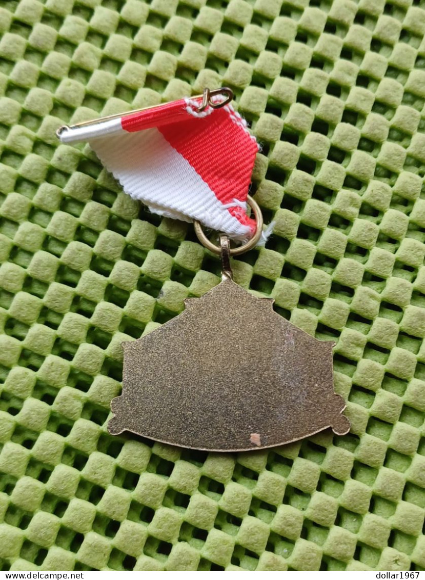 Medaille -  W.S..V. De Bergh-Lopers Montferlandtochten .  -  Original Foto  !!  Medallion  Dutch - Other & Unclassified
