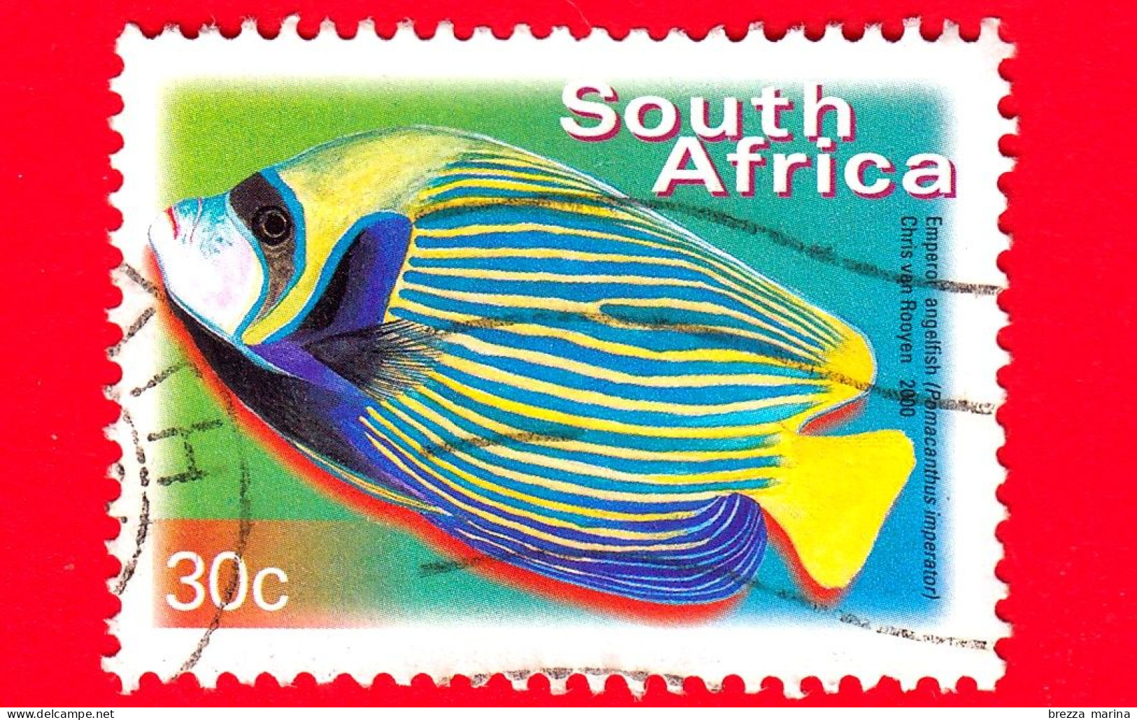 SUD AFRICA - Usato - 2000 - Fauna - Pesci - Vita Marina - Pesce Angelo Imperatore - 30 - Usados