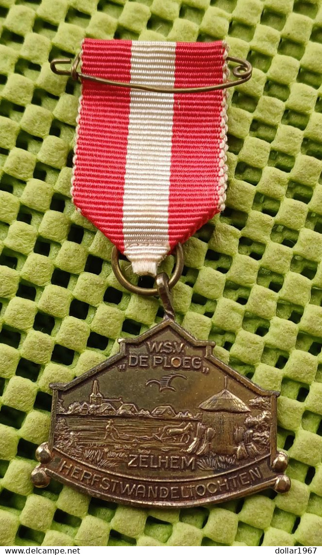 Medaille -  W.S.V. De Ploeg , Zelhem - Herfstwandeltochten .  -  Original Foto  !!  Medallion  Dutch - Sonstige & Ohne Zuordnung