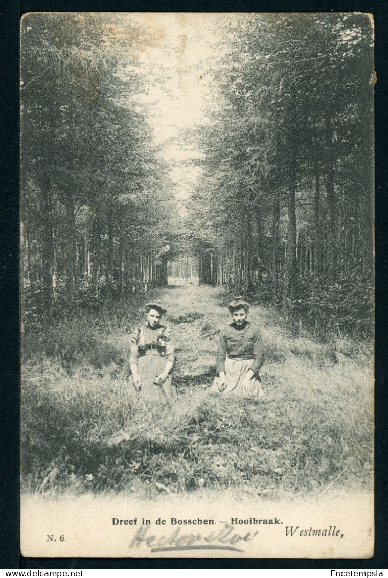 CPA - Carte Postale - Belgique - Westmalle - Dreef In De Bosschen - Hooibraak (CP24279) - Malle