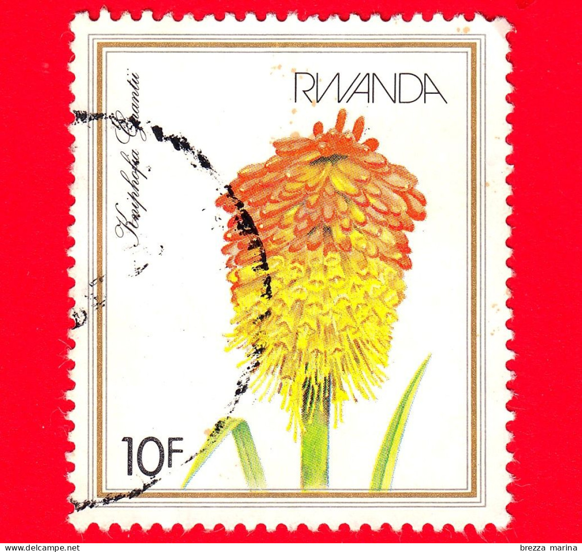 RWANDA  - Usato - 1982 - Piante Da Fiore - Kniphofia Grantii - 10 - Oblitérés