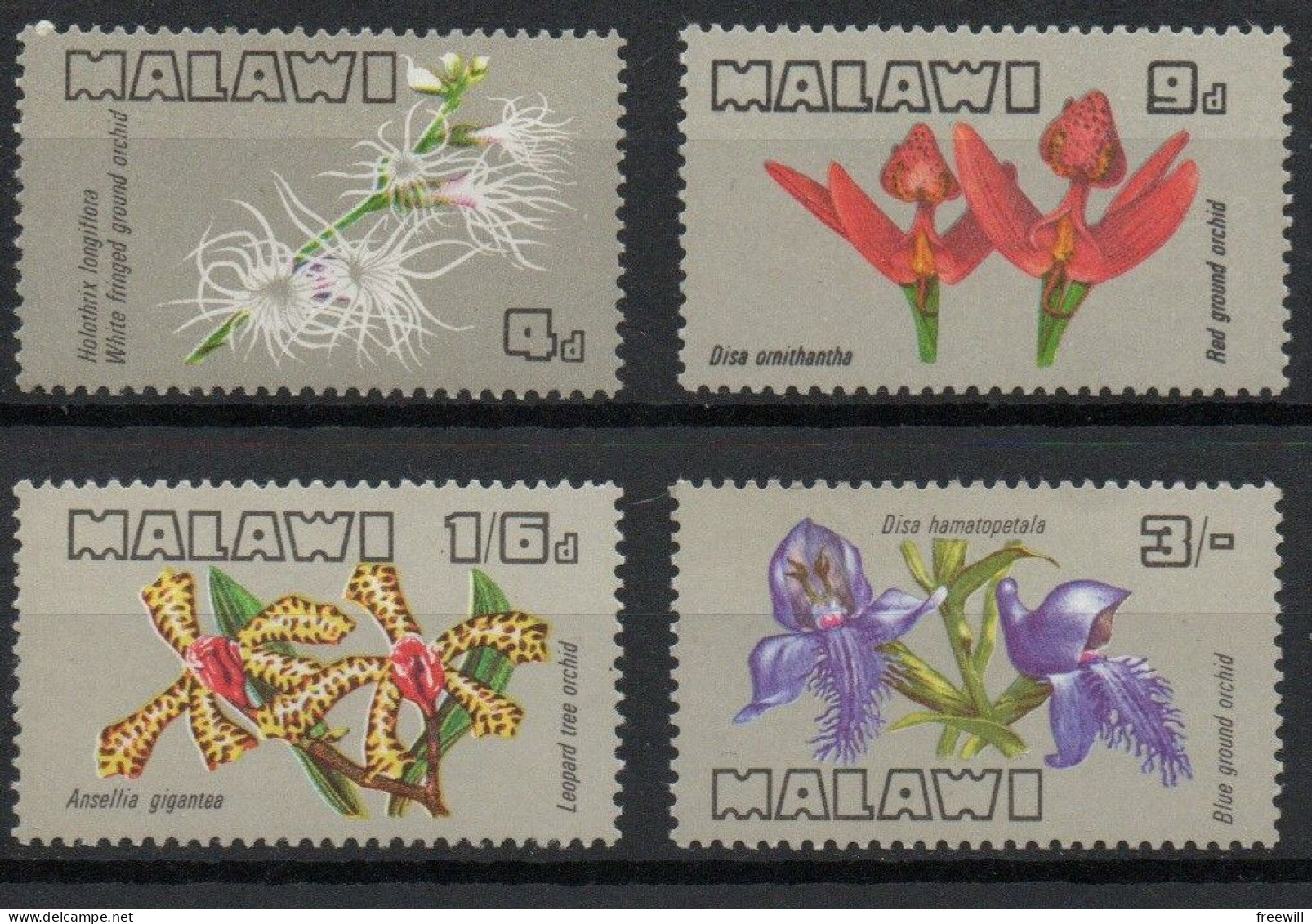 Malawi Fleurs-Flowers-Bloemen XXX - Malawi (1964-...)
