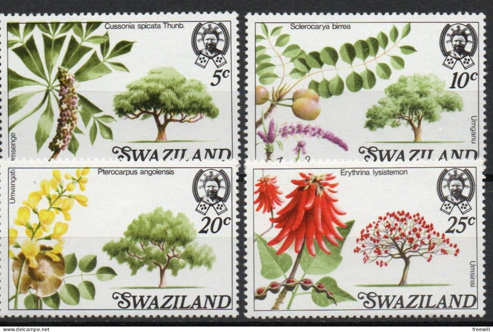 Swaziland Arbres- Trees -Bomen  XXX - Swaziland (1968-...)