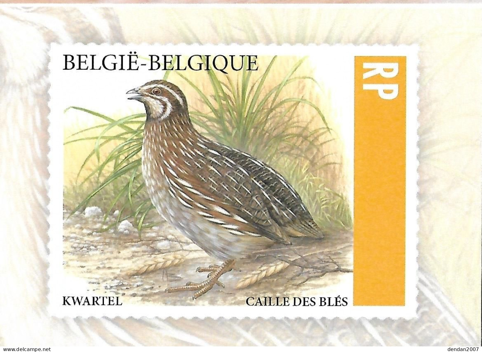 Belgium - Souvenir Card 2023 - Bpost - BUZIN :    Common Quail  -  Coturnix Coturnix - Hühnervögel & Fasanen