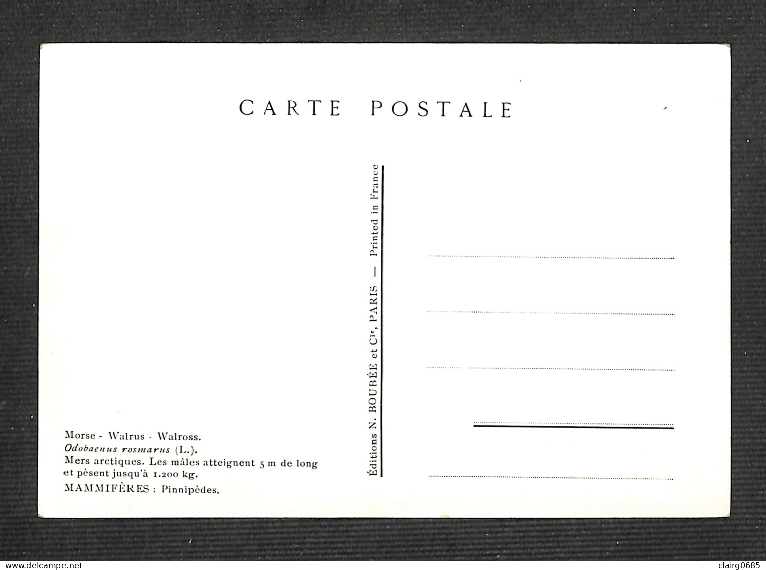 CANADA - QUÉBEC - Carte Maximum 1954 - Morse - Tarjetas – Máxima
