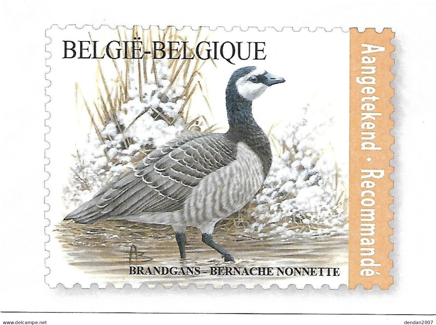 Belgium - Souvenir Card 2019 - Bpost - BUZIN :    Barnacle Goose    Branta Leucopsis - Oies