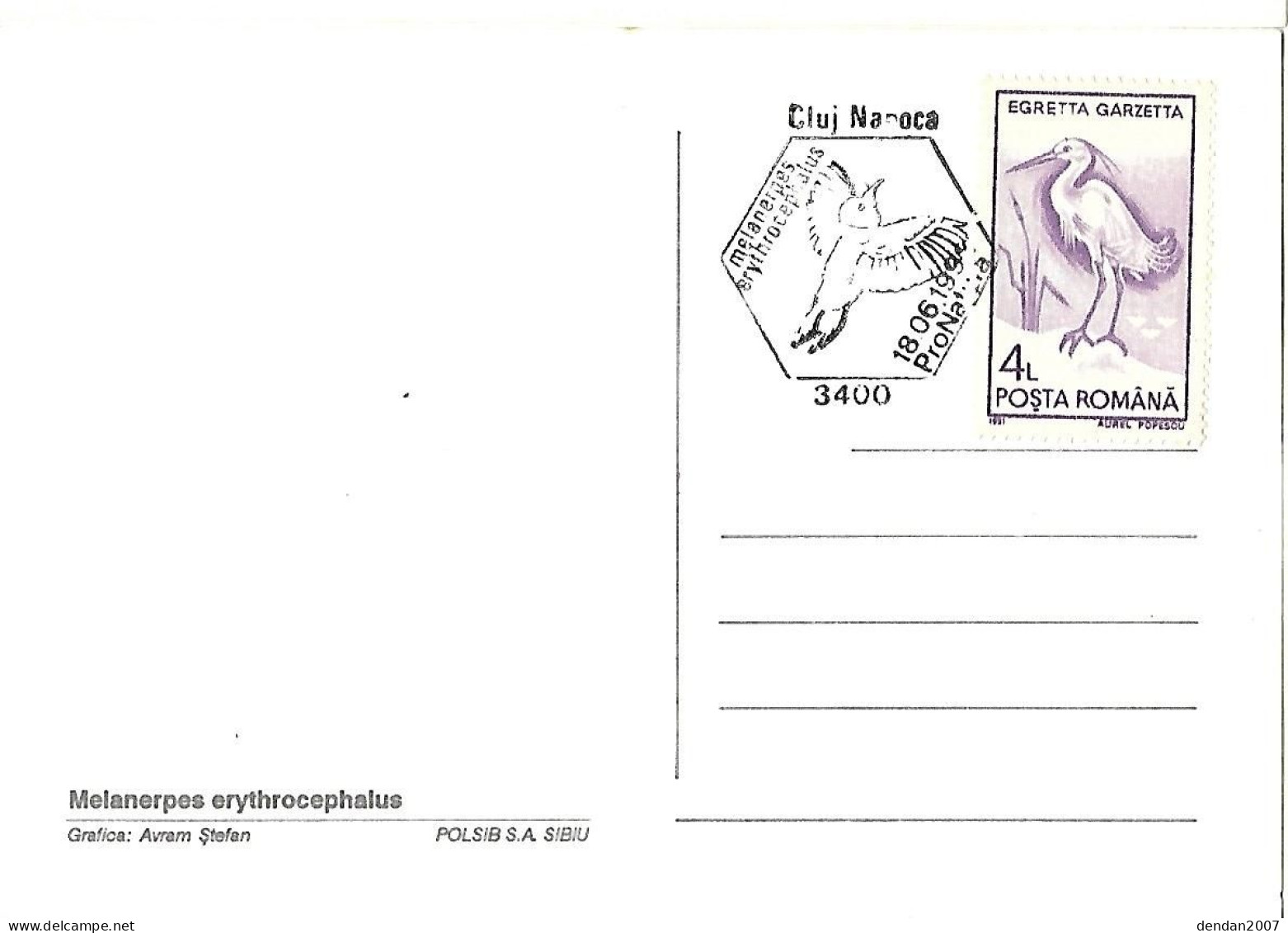 Rumania - Maximum Card 1992 :  Red-headed Woodpecker  -  Melanerpes Erythrocephalus - Picchio & Uccelli Scalatori