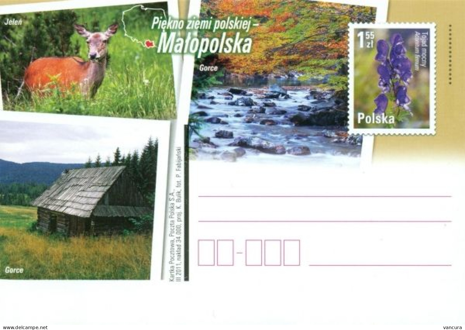 Cp 1565 Poland Beauties Of Poland Malopolska Deer 2011 - Game