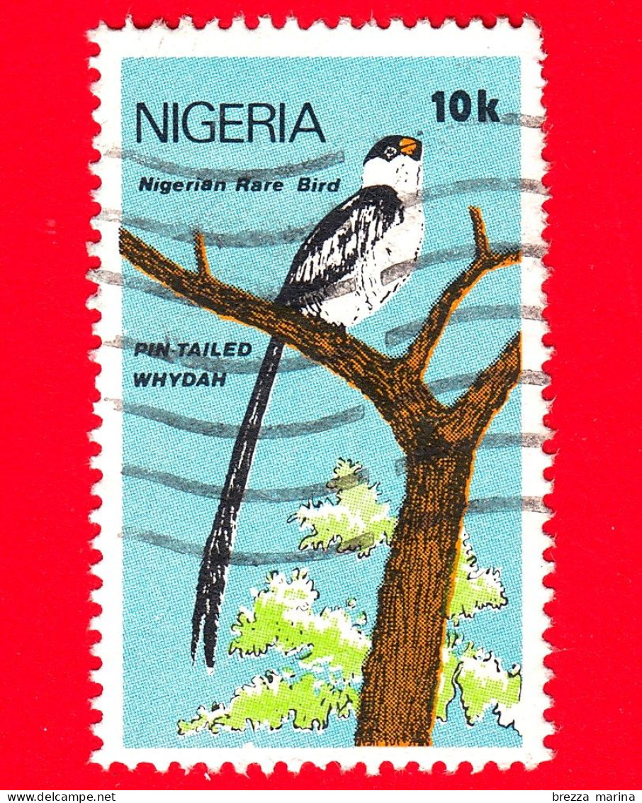 NIGERIA  - Usato - 1984 - Uccelli - Whydah Dalla Coda A Spillo (Vidua Macroura) - 10 - Nigeria (1961-...)