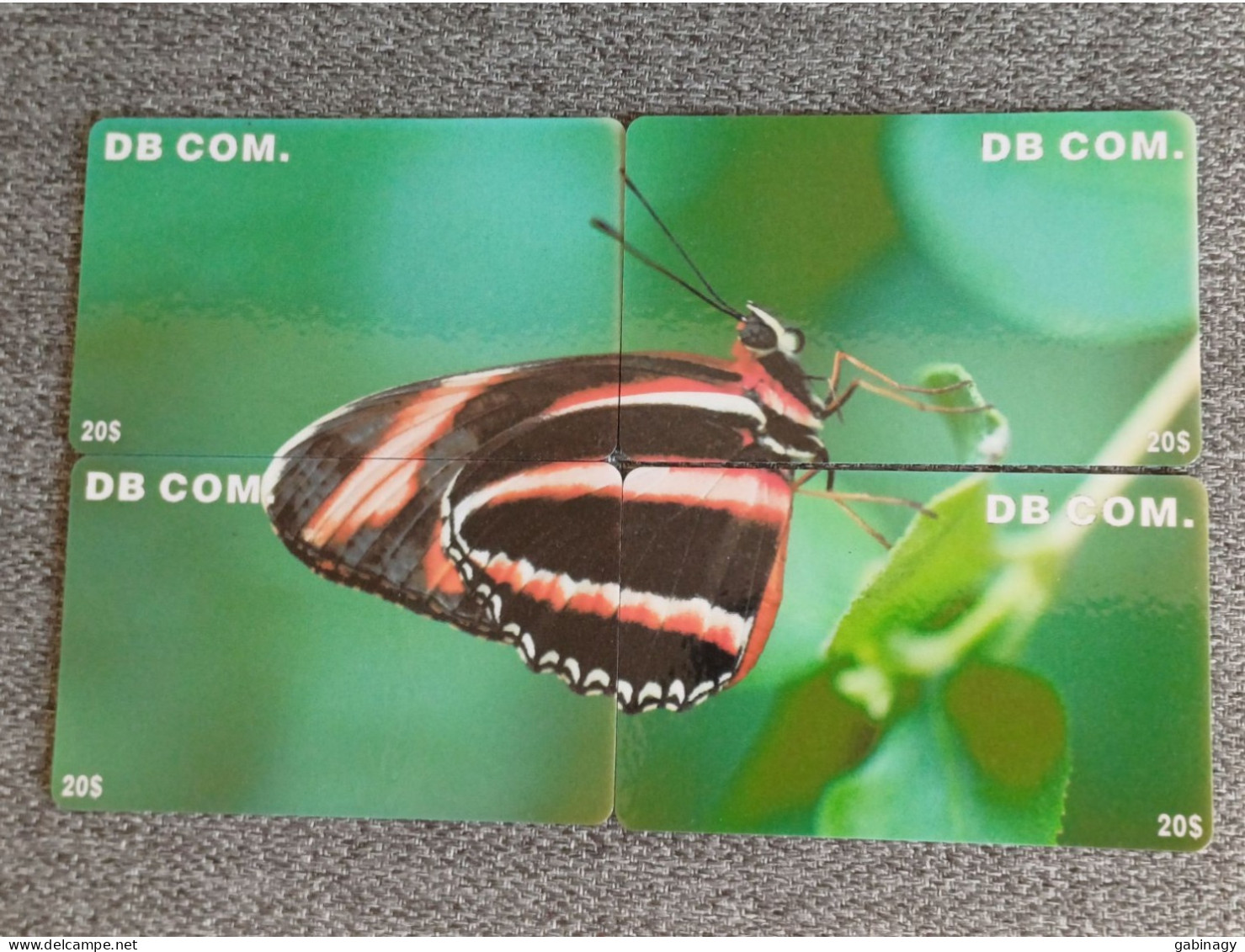 BUTTERFLY - USA-02 - SET OF 4 CARDS - Chine