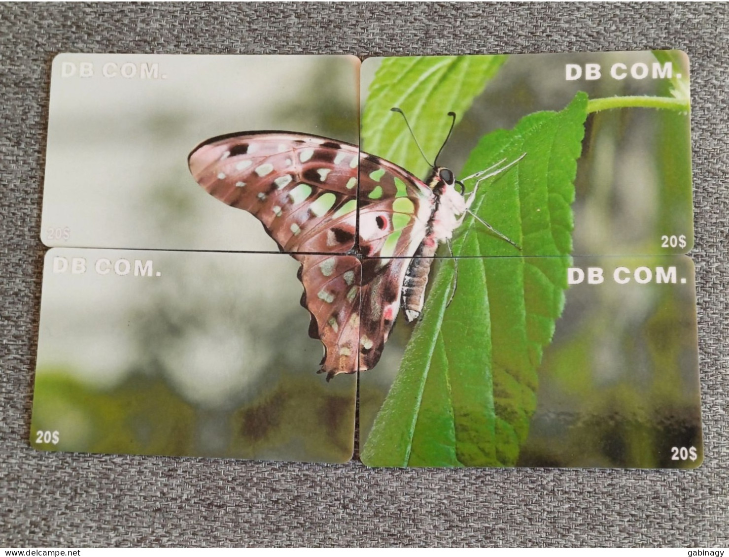 BUTTERFLY - USA-04 - SET OF 4 CARDS - China