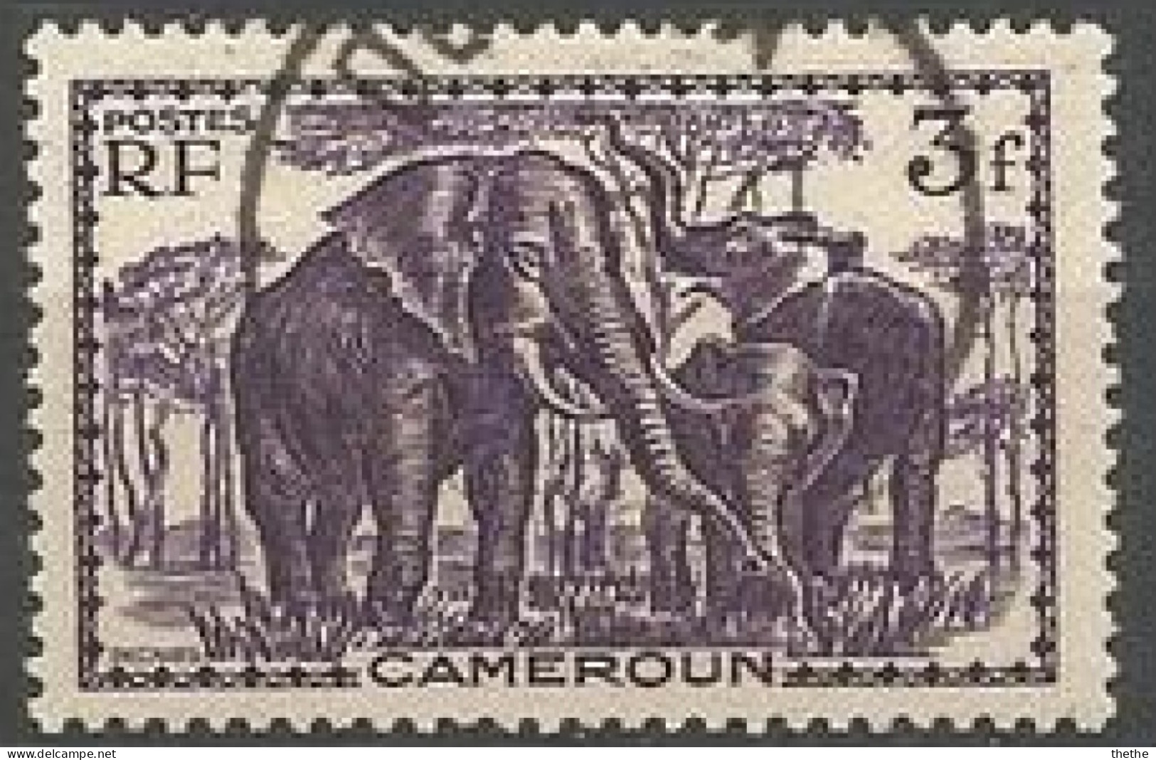 CAMEROUN - Eléphant D'Afrique (Loxodonta Africana) - Usados