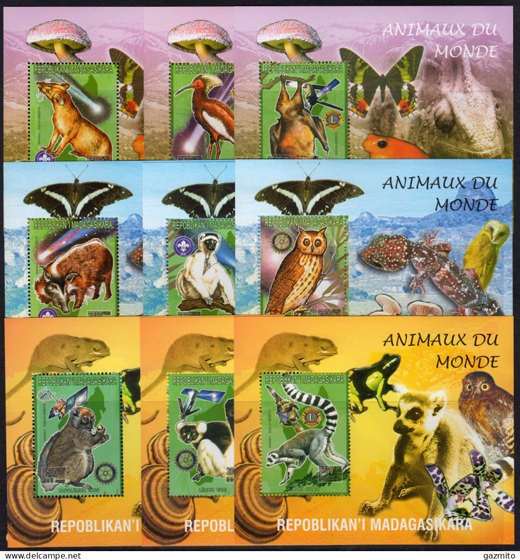 Madagascar 1999, Animals, Mushrooms, Monkey, Owl, Bat, Butterflies, Frog, Comet, Orchids, Rotary, Lions, Scout, 9BF - Fledermäuse