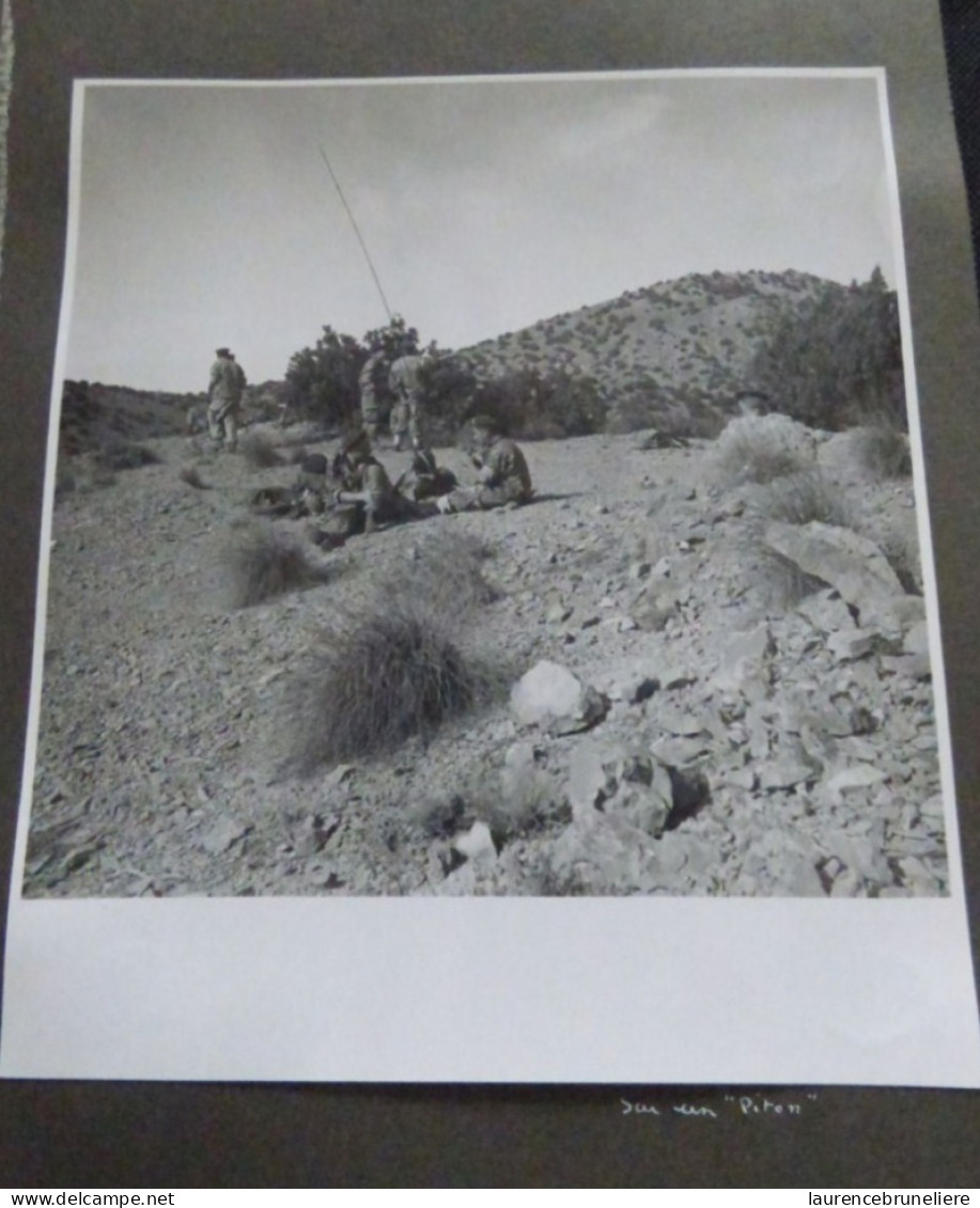 PHOTOGRAPHIES ORIGINALES - LE P.C. "PAPA CHARLIE" -   7E HUSSARDS - ALGERIE - 1959 - Guerre, Militaire