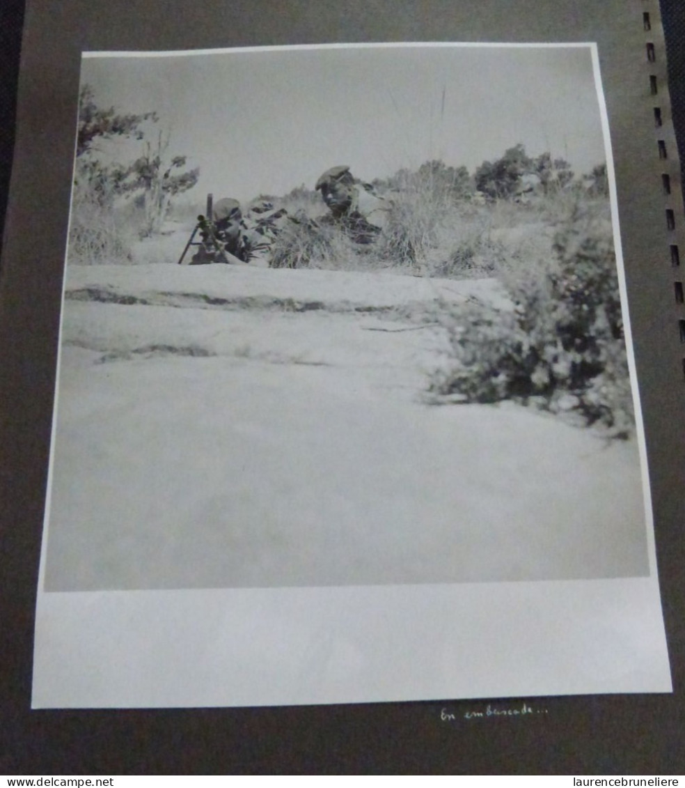 PHOTOGRAPHIES ORIGINALES - EN EMBUSCADE -   7E HUSSARDS - ALGERIE - 1959 - Krieg, Militär